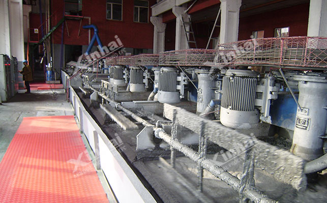 Wormite flotation concentrate enrichment