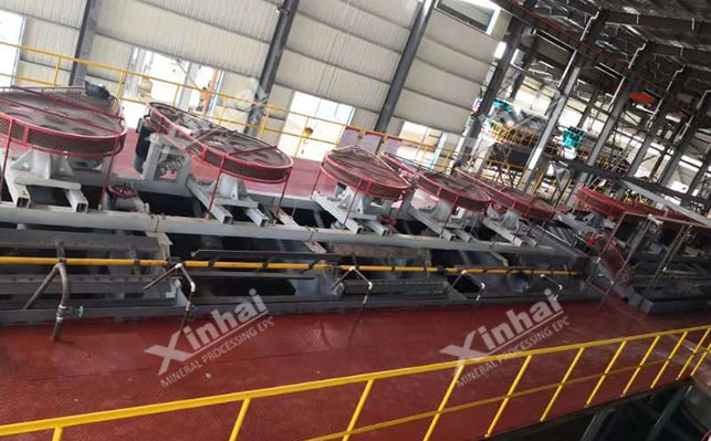 Coarse-grained oxidized gold flotation process