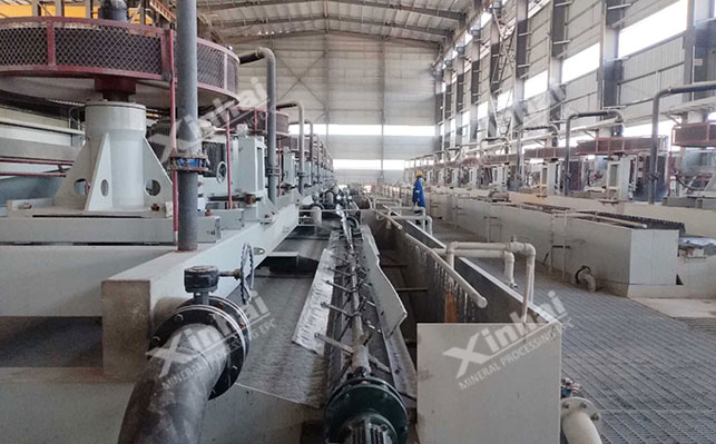 Fatty acid collector flotation zinc oxide process