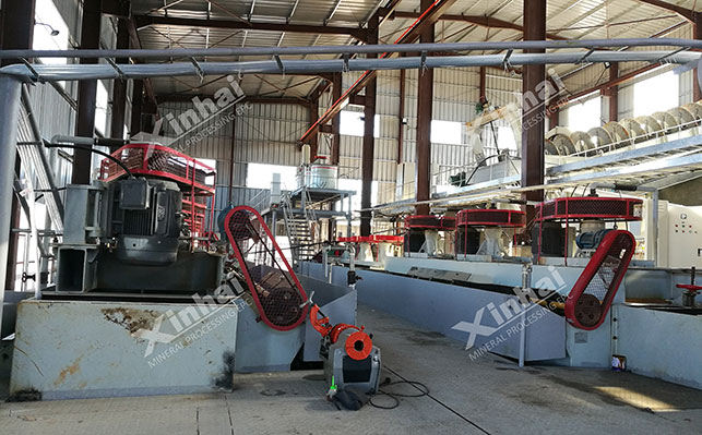 Associated silver flotation method