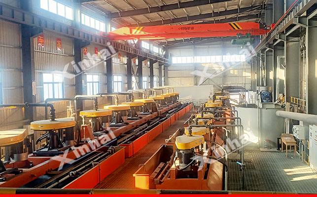 Flotation separation of silver-lead concentrate