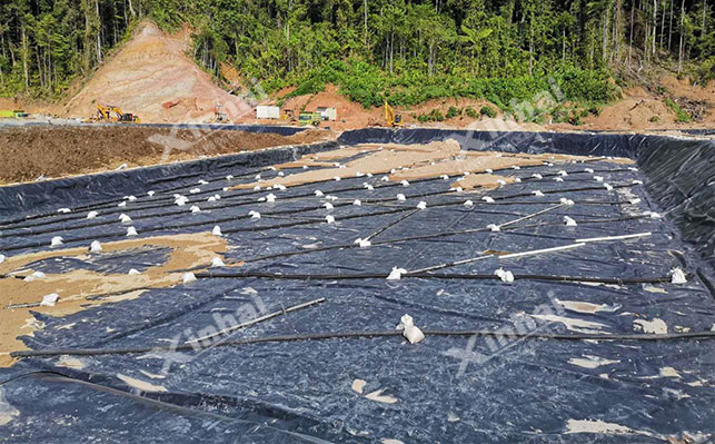 Heap leaching gold extraction
