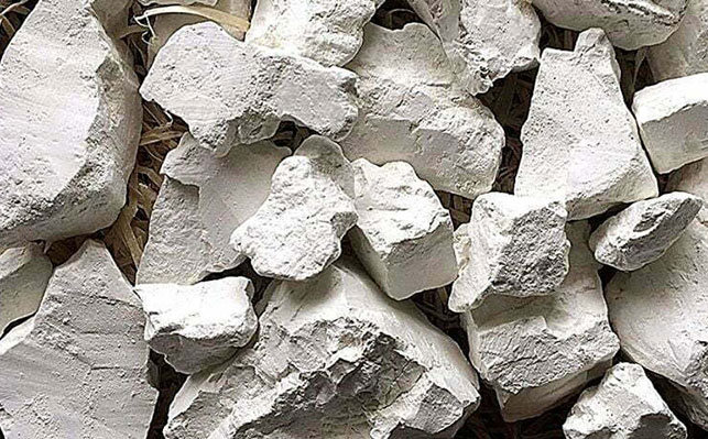 Kaolin iron removal technology