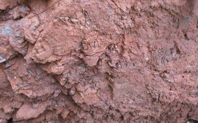Laterite nickel ore