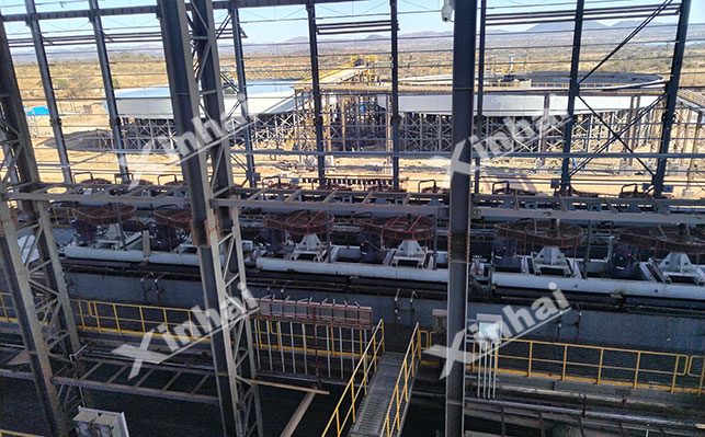 Lepidolite Flotation Process Flow 