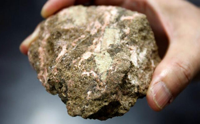 Light rare earth ore
