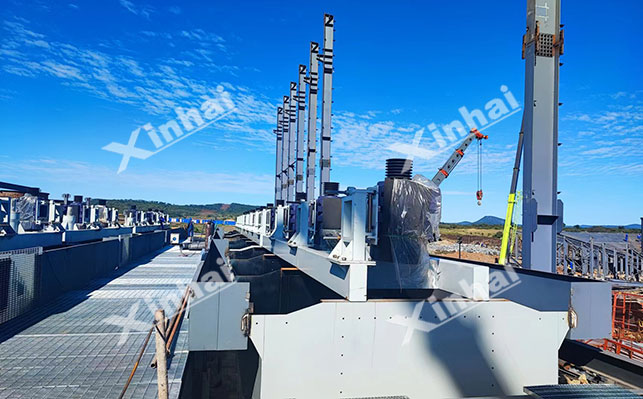 Lithium flotation and scavenging process