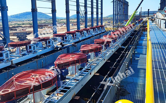 Lithium flotation roughing process