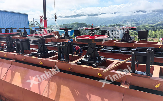 Zinc Sulfide Flotation Zinc Sulfide Flotation