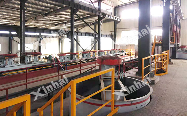 Reverse flotation combined process