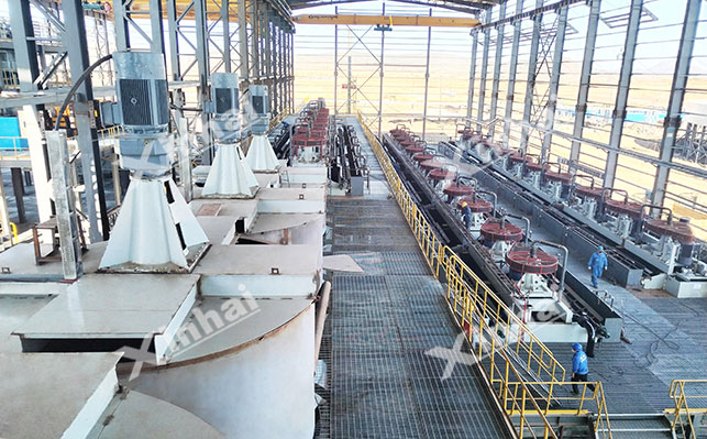 Talc-type molybdenum ore beneficiation methods